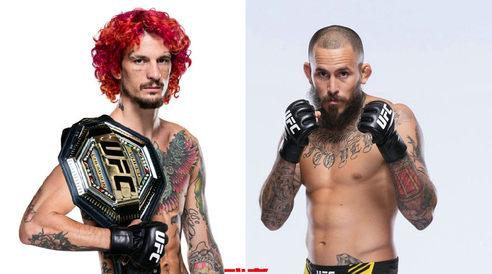 UFC 299:肖恩·奥马利vs马龙·维拉