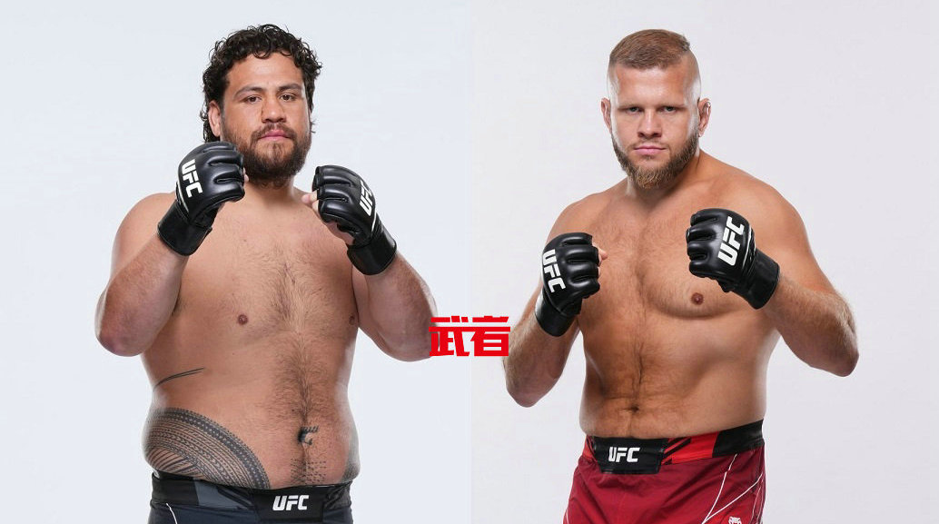 UFC 298:泰·图瓦萨vs马辛·泰布拉