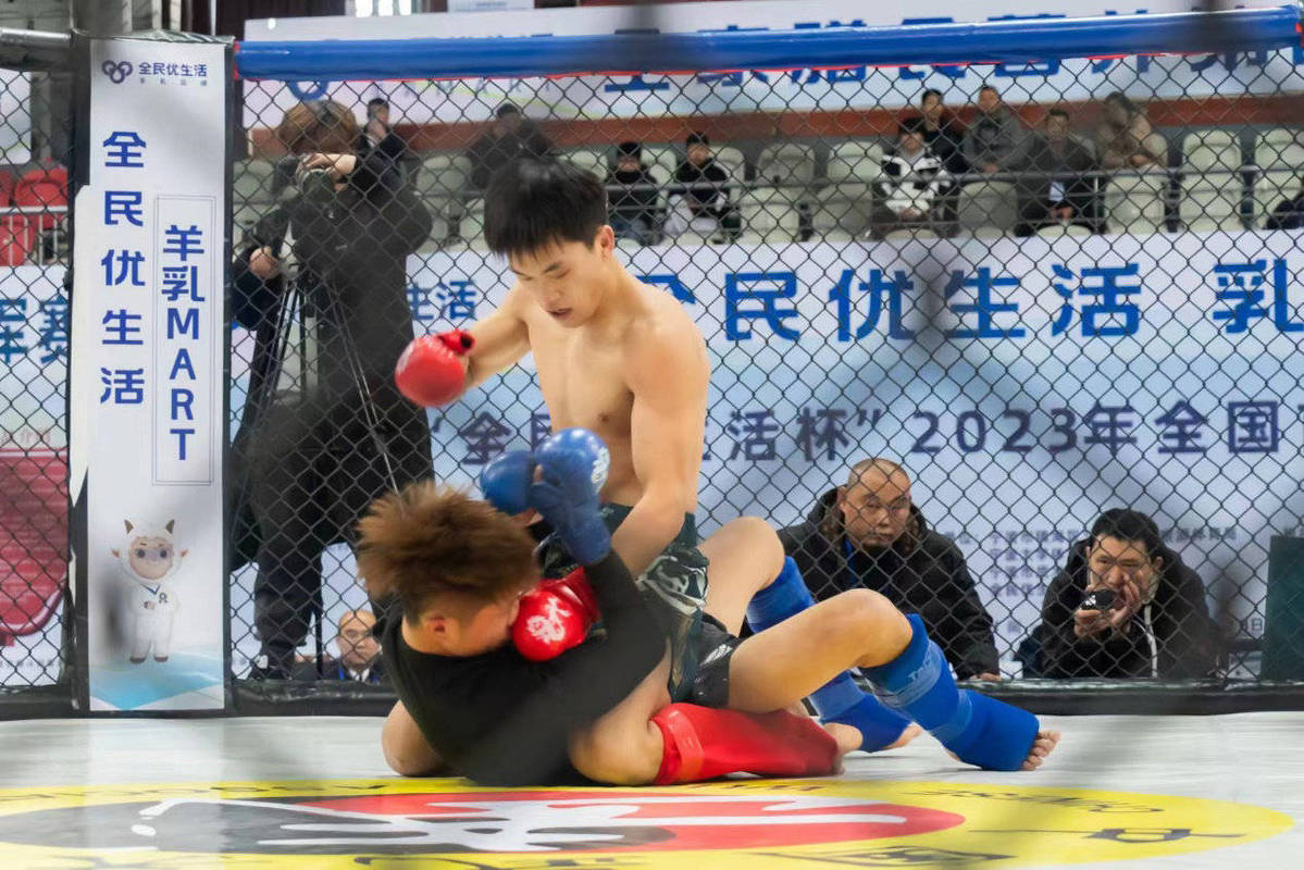 MMA-1.jpg