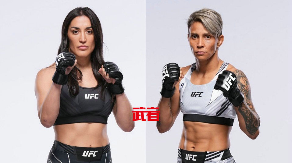 UFC 298:塔蒂亚娜·苏亚雷斯vs阿曼达·莱莫斯