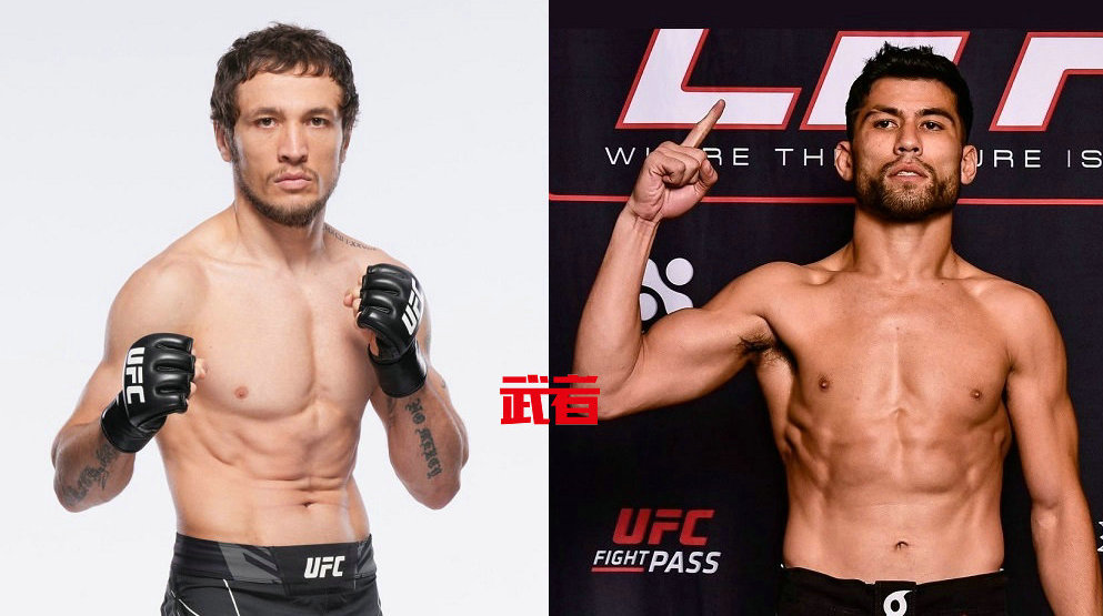 2月11日UFC:墨菲与沙依兰退赛,巴达萨严对阵阿米尔