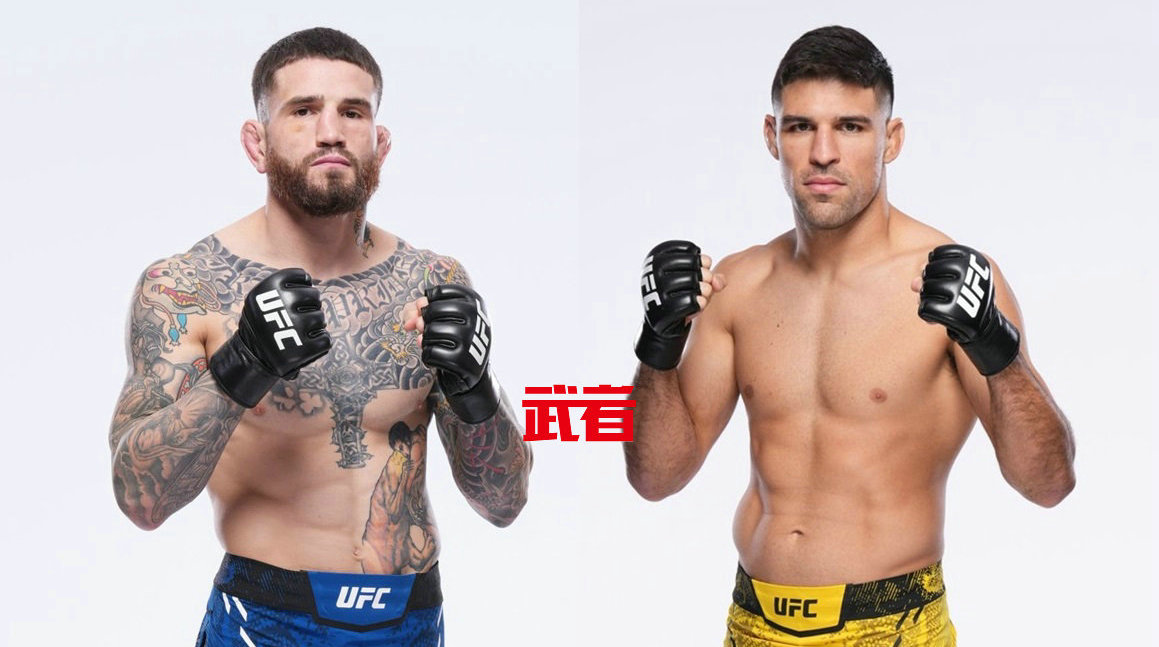 3月31日UFC:肖恩·布雷迪vs维森特·卢奎