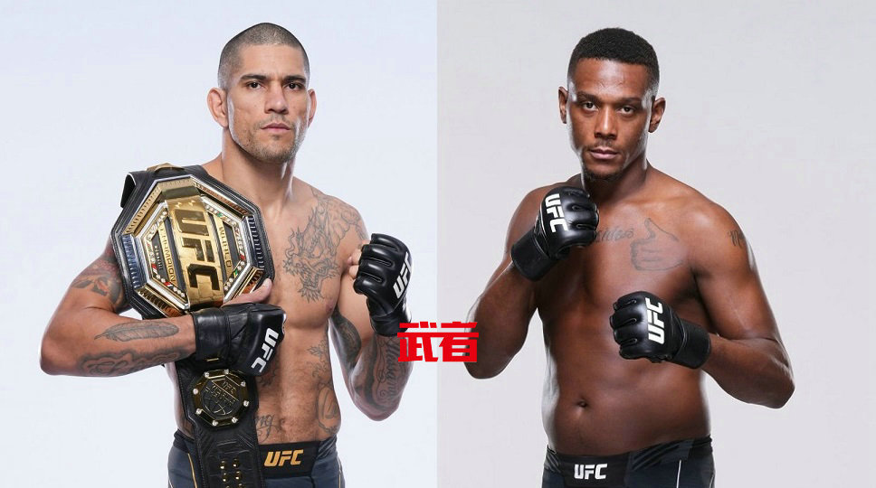 UFC 300:亚历克斯·佩雷拉vs加马哈·希尔
