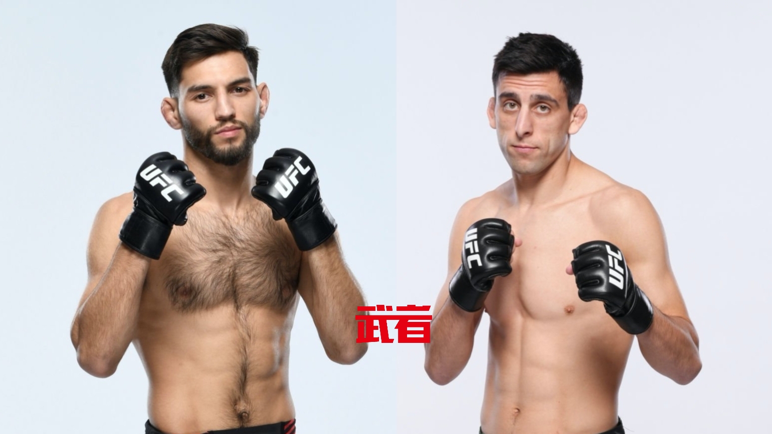 3月3日UFC:马特·施奈尔vs史蒂夫·埃尔赛格