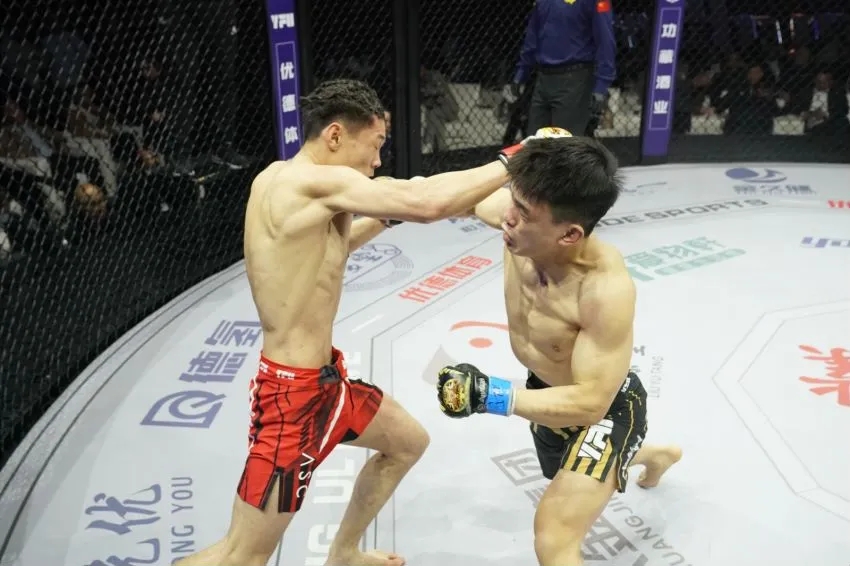 YFU-MMA.jpg