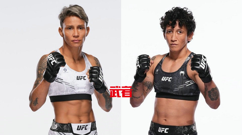 7月21日UFC：阿曼达·莱莫斯vs维尔娜·詹迪罗巴