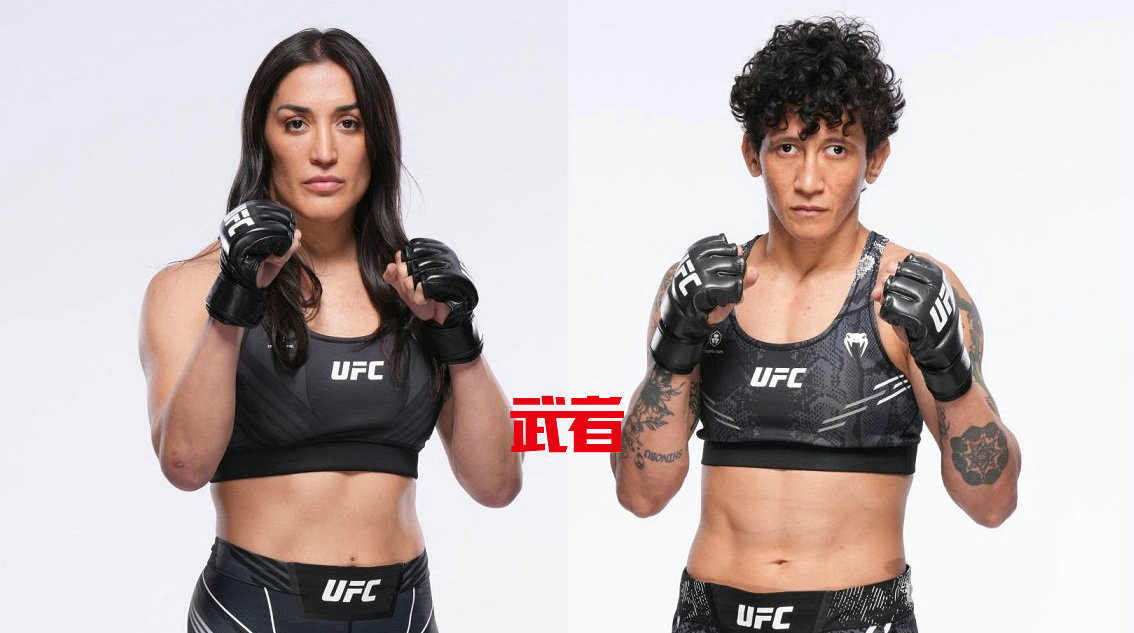 UFC 310:塔蒂亚娜·苏亚雷斯vs维尔娜·詹迪罗巴
