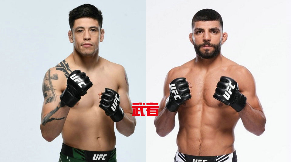 11月10日UFC:布兰登·莫雷诺vs阿米尔·阿尔巴齐
