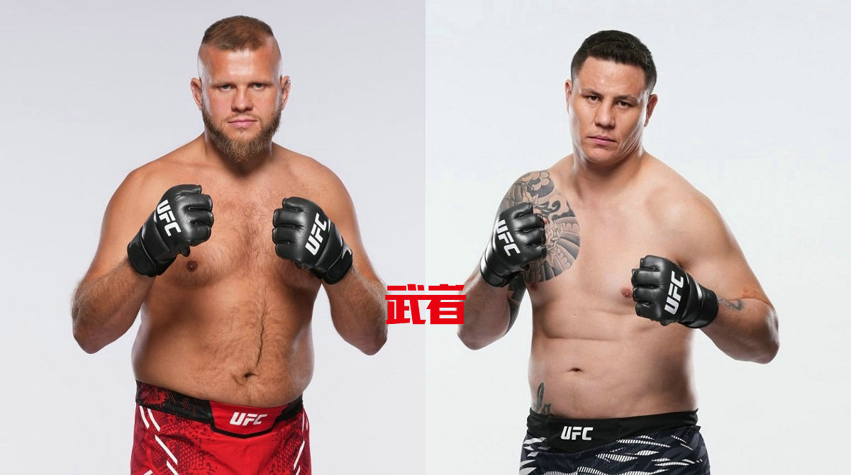 UFC 309:马辛·泰布拉vs乔纳塔·迪尼兹