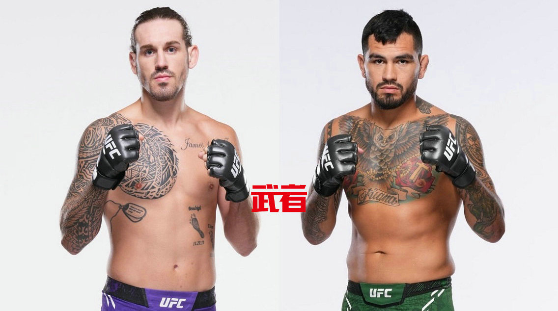 2月22日UFC:布兰登·艾伦vs安东尼·赫尔南德兹