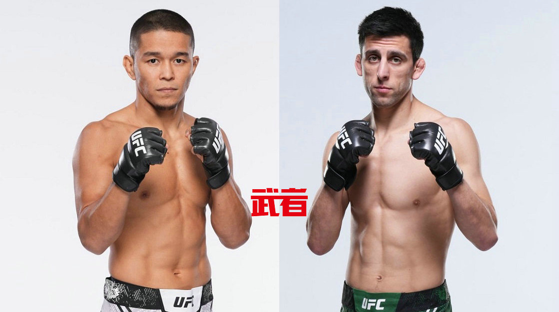 3月2日UFC:阿马巴耶夫vs埃尔切格,约翰逊vs特米罗夫