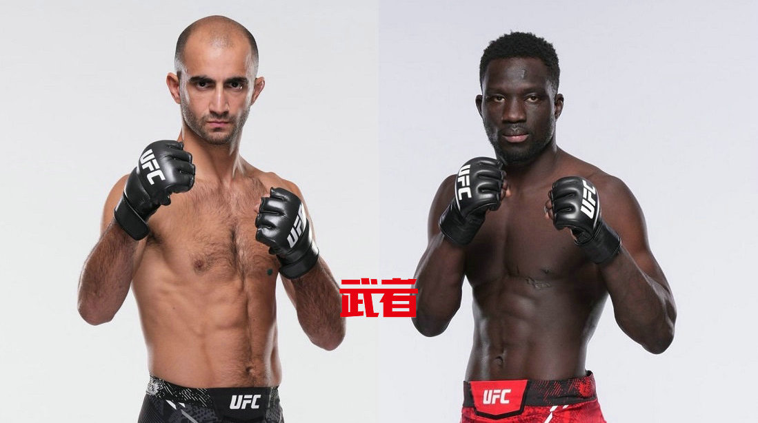 4月6日UFC:吉加·奇卡泽vs大卫·奥纳马