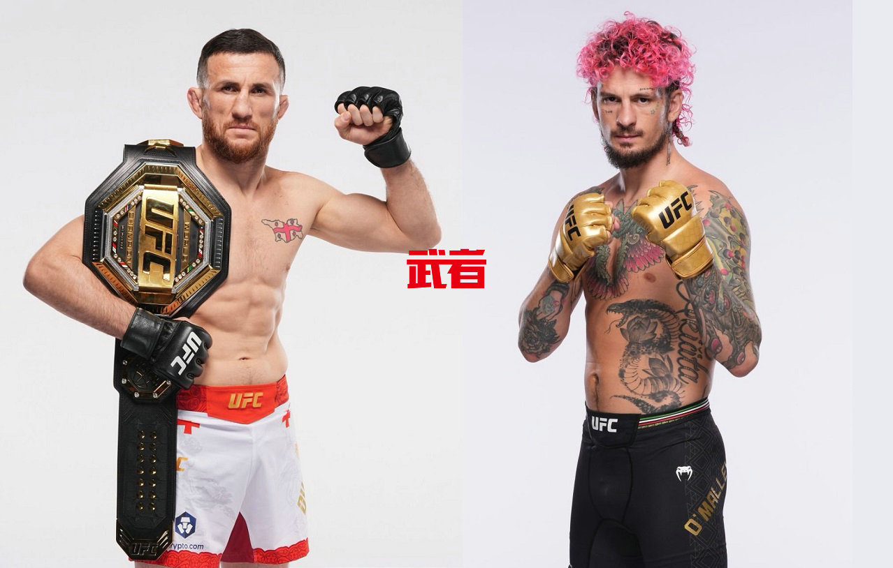 UFC_Dvalishvili_O'Malley.jpg