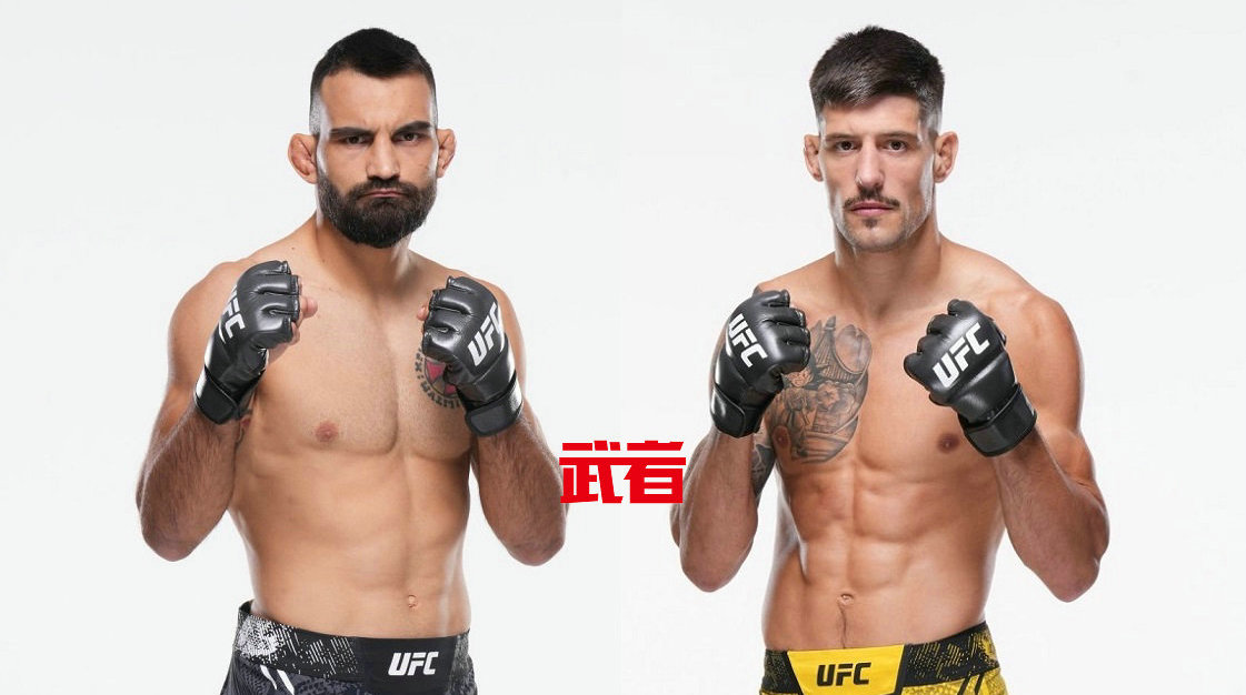 UFC 315：贝诺伊特·圣·丹尼斯vs乔尔·阿瓦雷兹