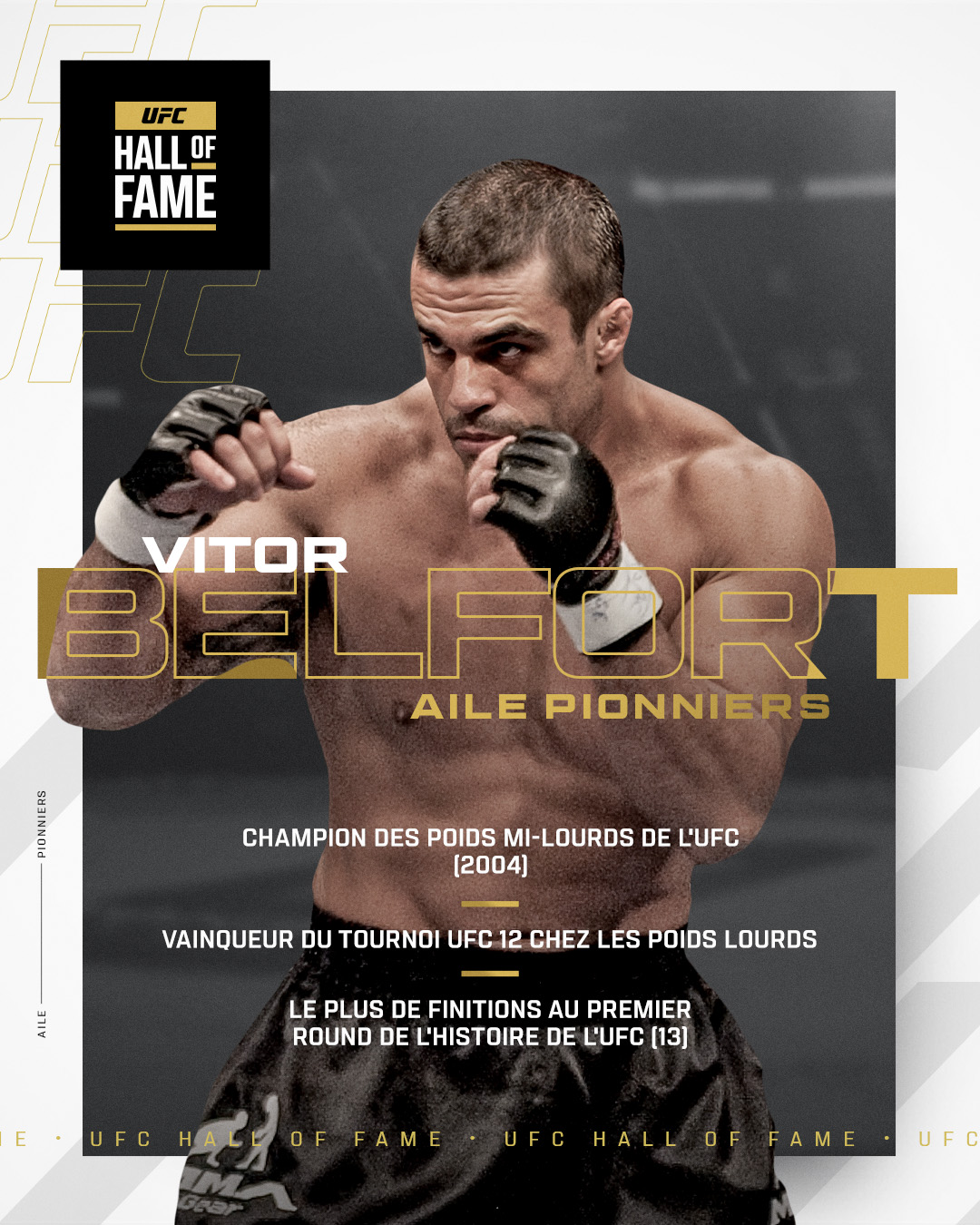 UFC_Vitor_Belfort.jpg