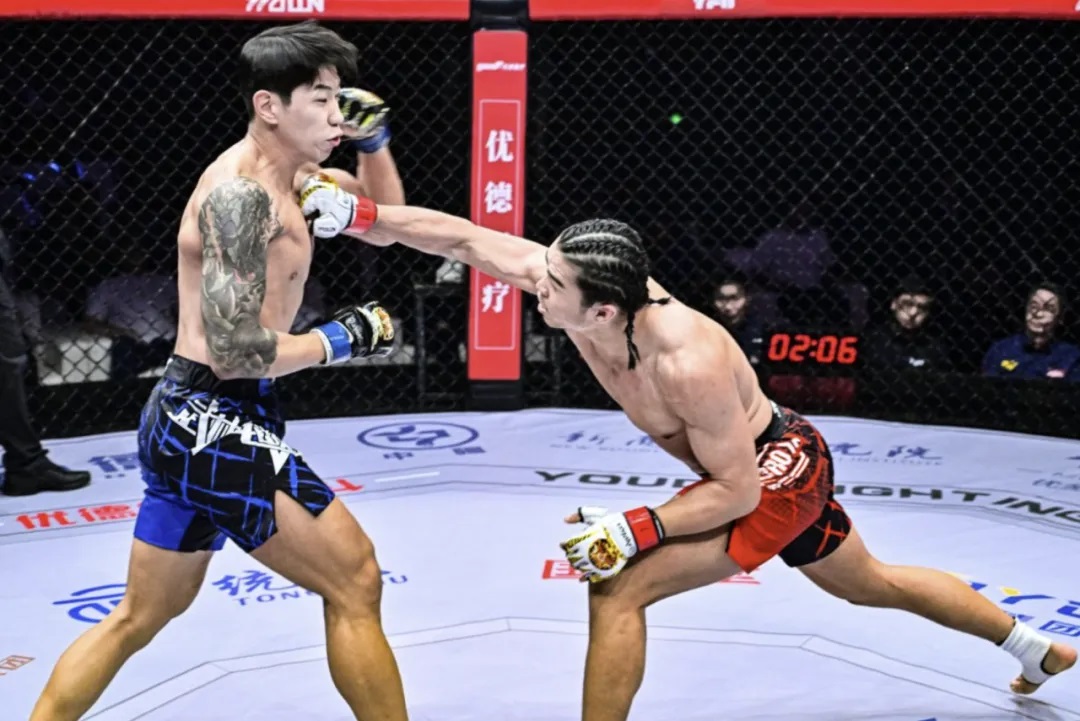 MMA-1.jpg