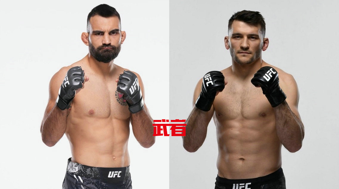 UFC 315：贝诺伊特·圣·丹尼斯vs凯尔·普雷波里克