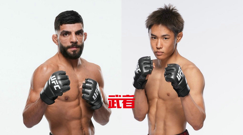 8月3日UFC：阿米尔·阿尔巴齐vs平良达郎
