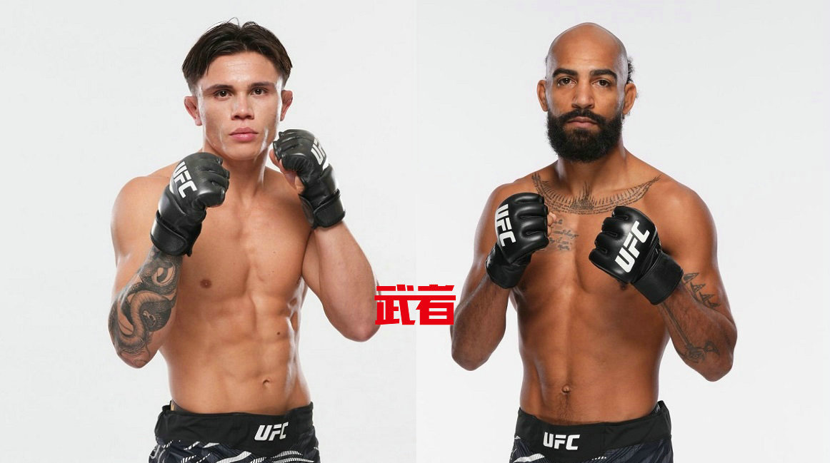 UFC上海站：隆尼·卡瓦纳vs查尔斯·约翰逊