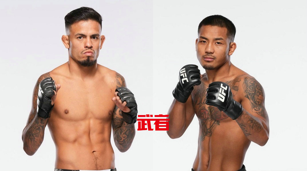 UFC 317：布兰登·罗伊瓦尔vs约书亚·范