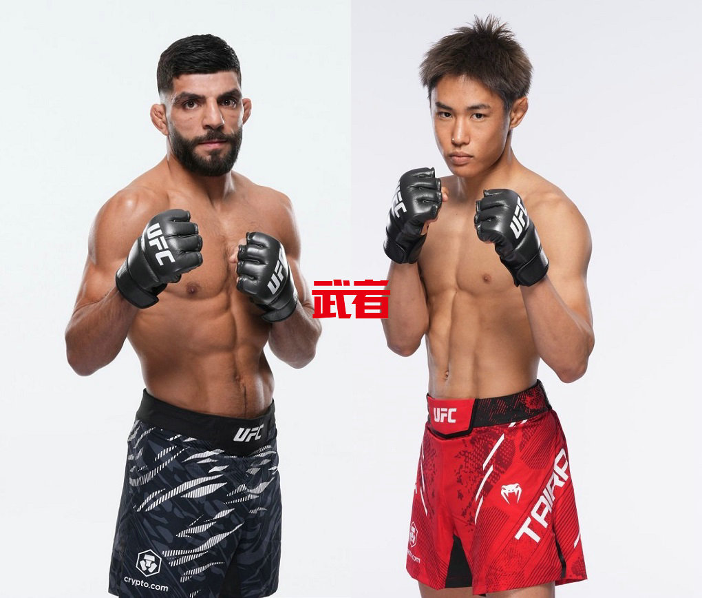 UFC.jpg
