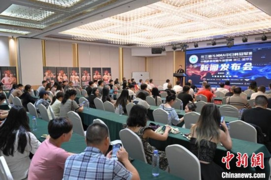 MMA-1.jpg