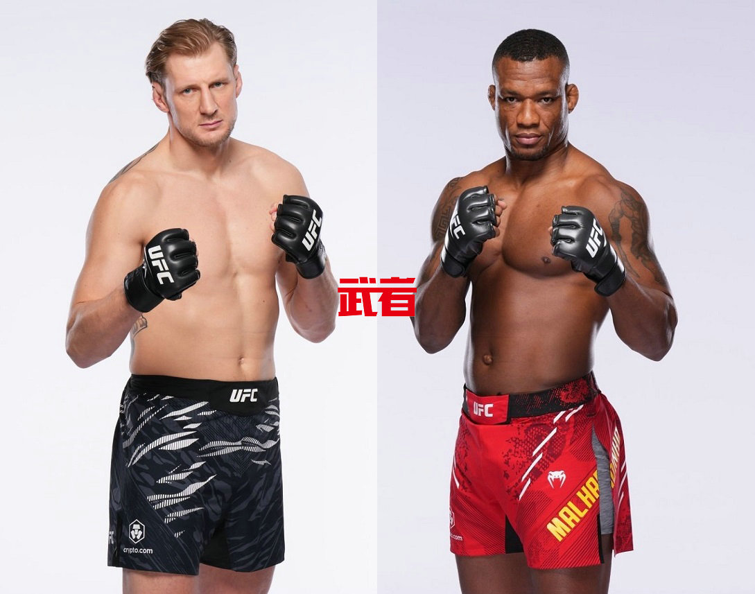 UFC_Volkov_Almeida.jpg