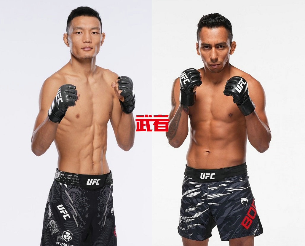 UFC_Sumudaerji_Borjas.jpg