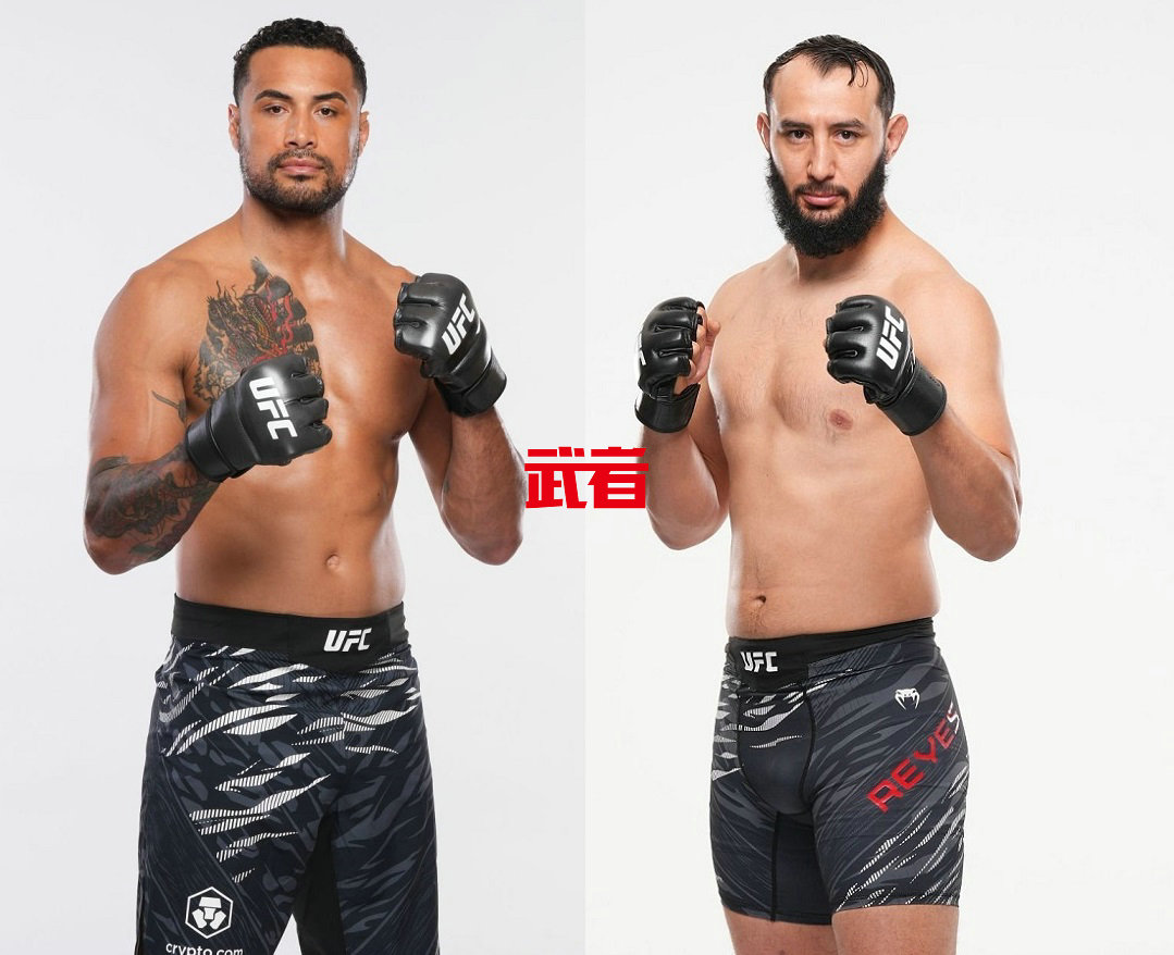 UFC_Ulberg_Reyes.jpg