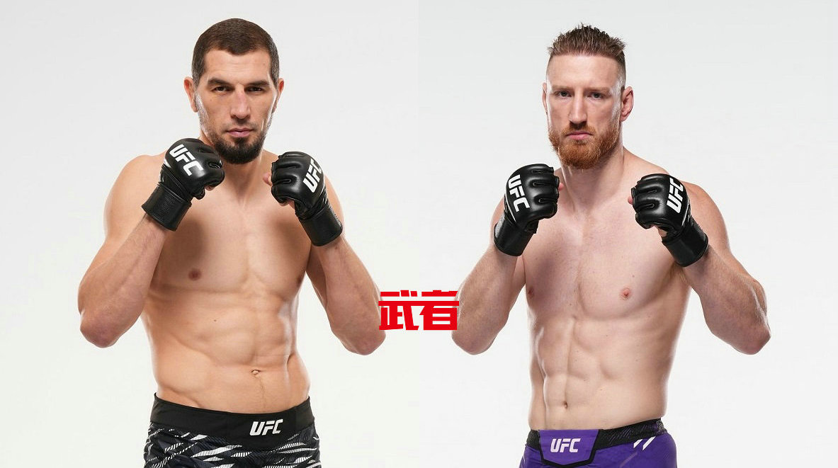 UFC 320:阿布斯vs派弗,谢松vs桑托斯