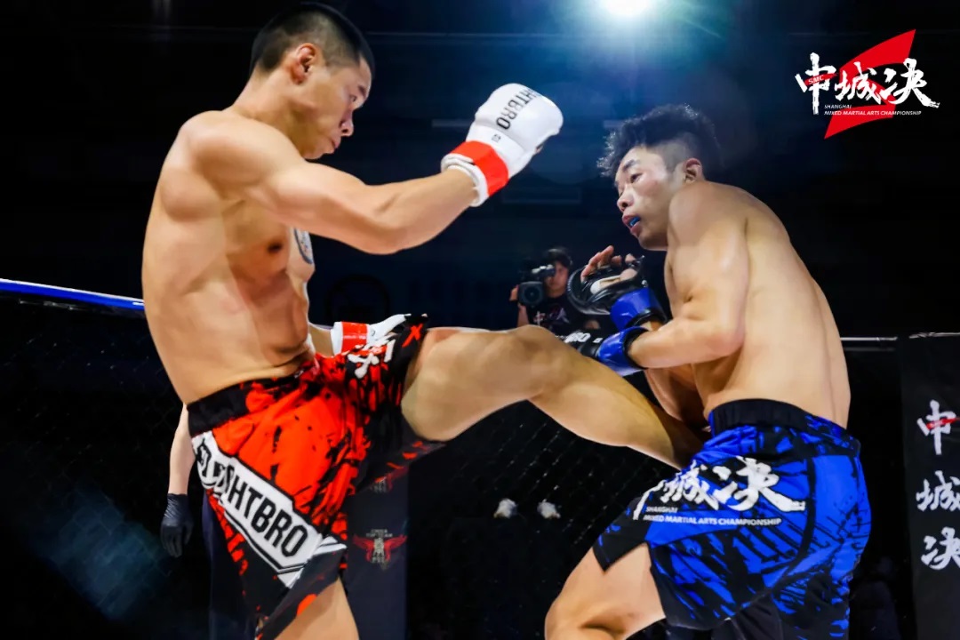 MMA-1.jpg