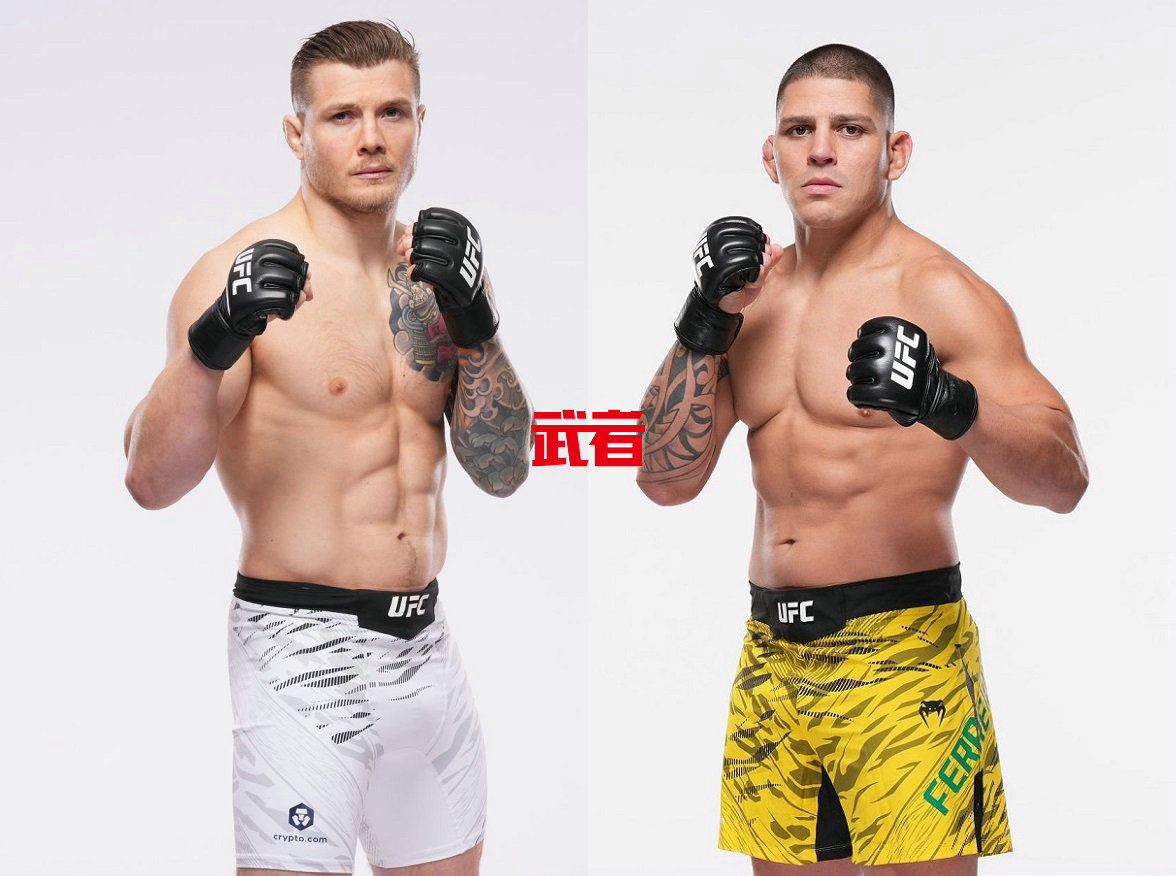 UFC_Vettori_Ferreira.jpg
