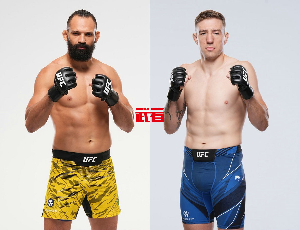 UFC_Pereira_Daukaus.jpg