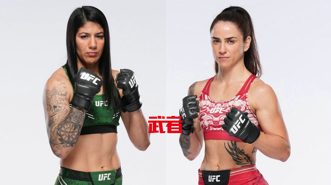 11月2日UFC：凯伦·维埃拉vs诺玛·杜蒙特