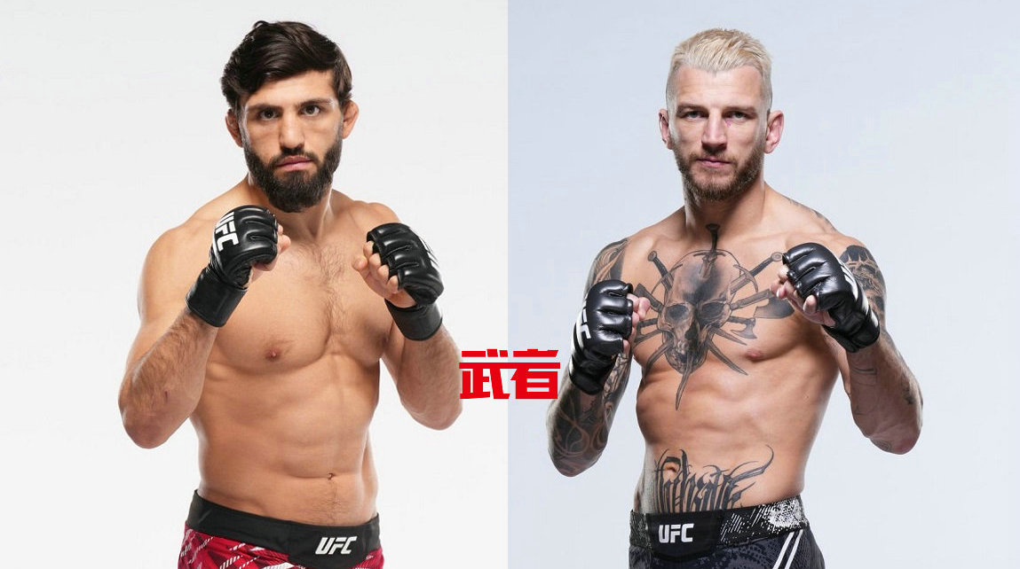 11月22日UFC：萨鲁基安vs胡克，科斯塔vs沙拉布丁，亚历山大vs阿尔马汗