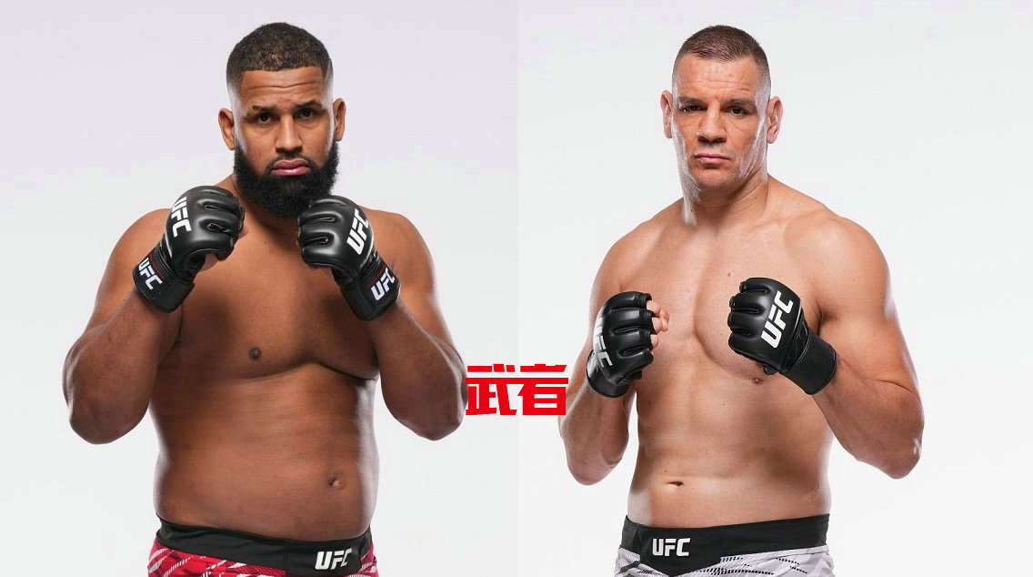 11月2日UFC：沃尔多·科尔特斯·阿科斯塔vs安特·德利加