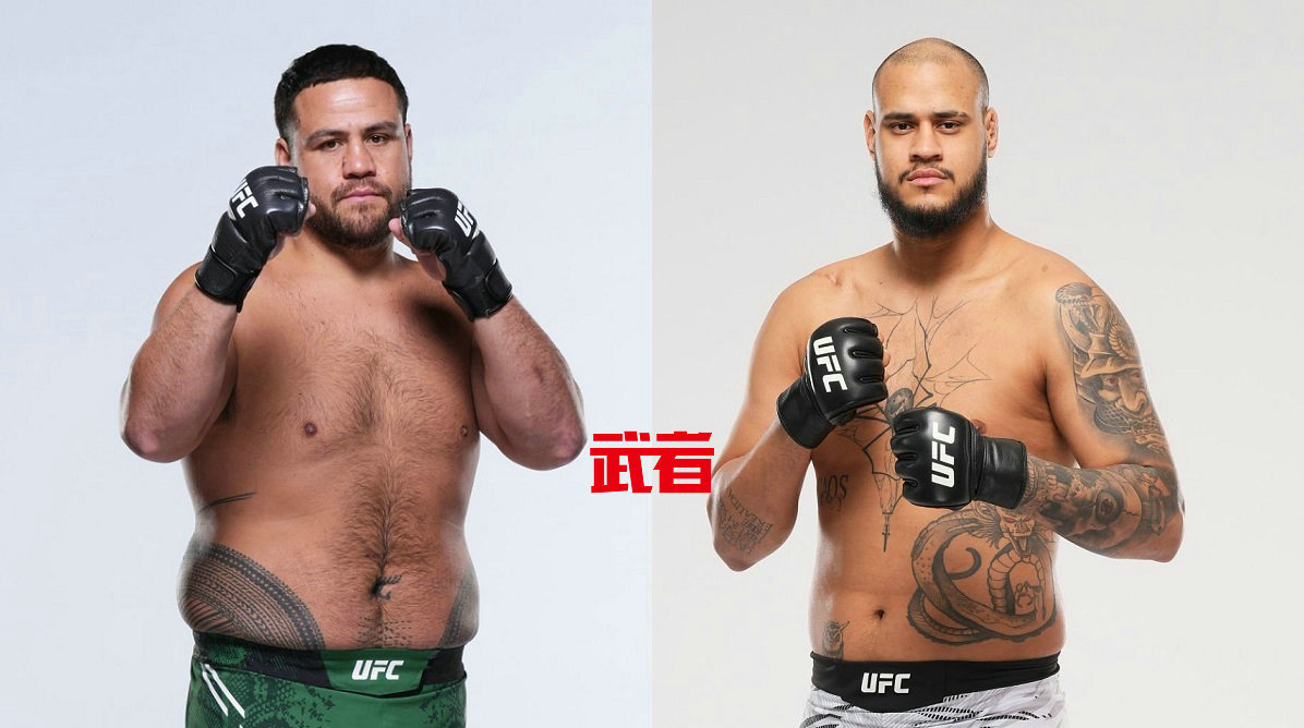 UFC 325：泰·图瓦萨vs塔利森·特谢拉