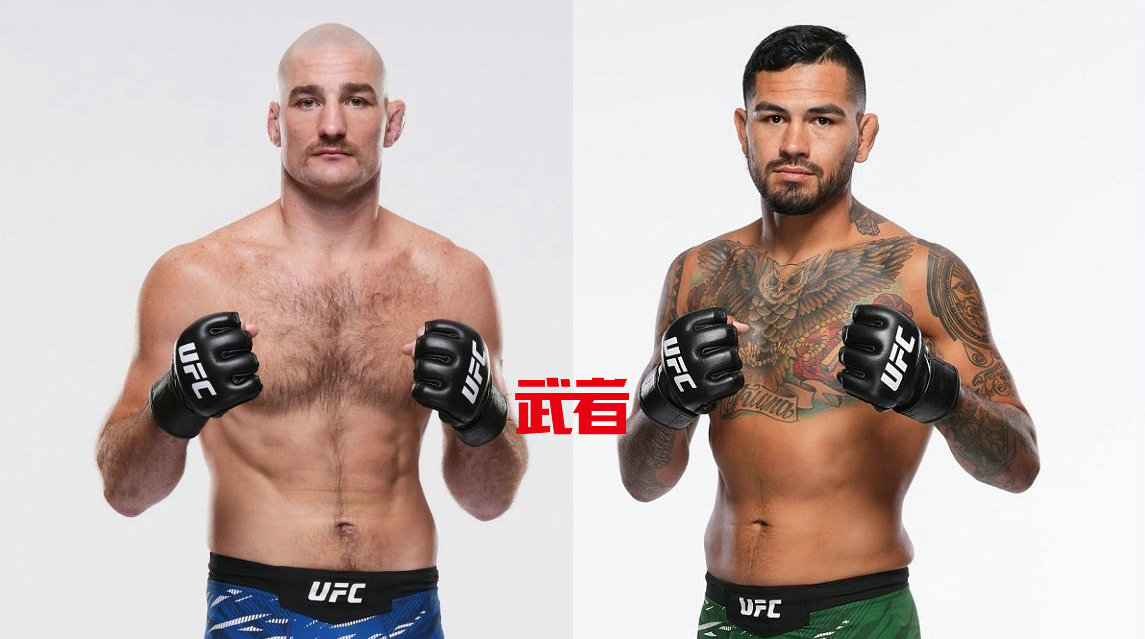2月22日UFC：肖恩·斯特里克兰德vs安东尼·赫尔南德兹