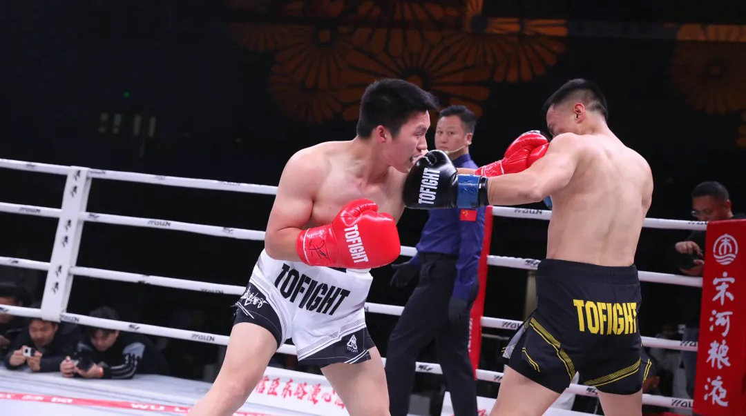 武林风南阳站巅峰对决震撼落幕