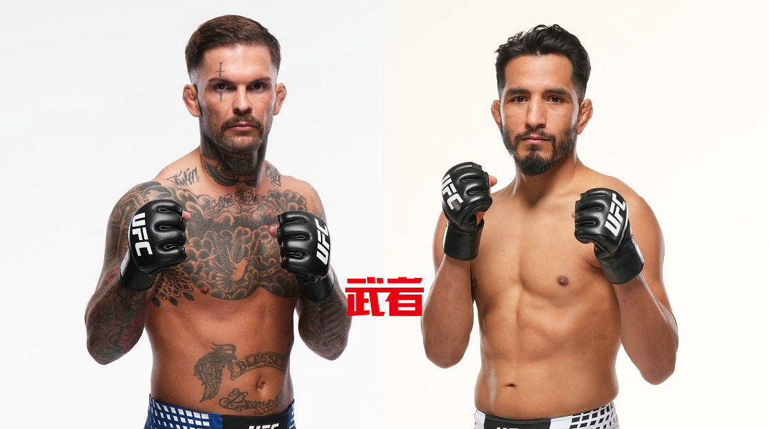 UFC 329：科迪·加布兰特vs阿德里安·亚内兹