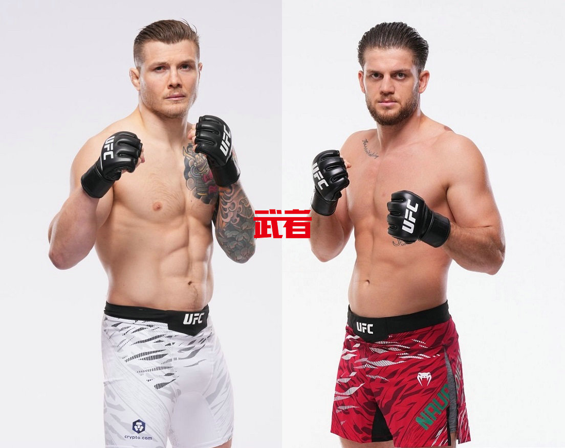UFC_Vettori_Naurdiev.jpg