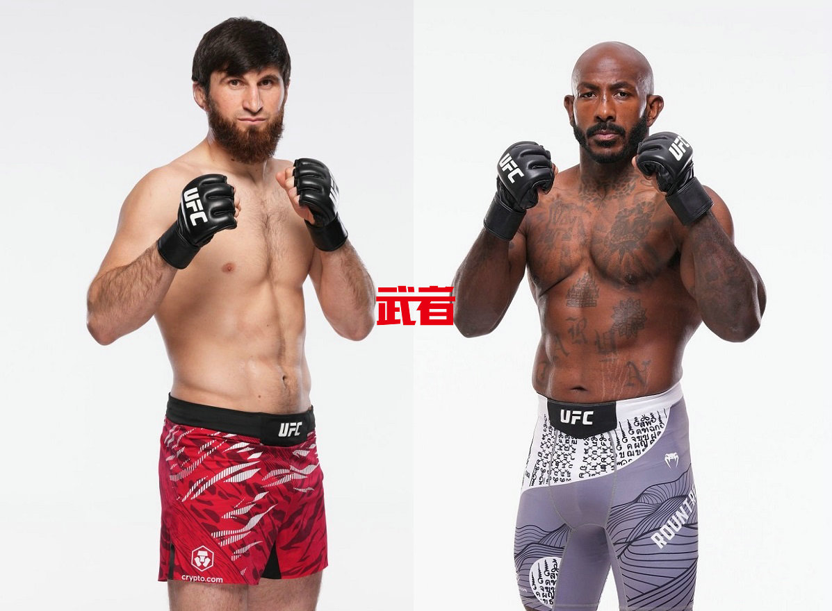 UFC_Ankalaev_Rountree.jpg