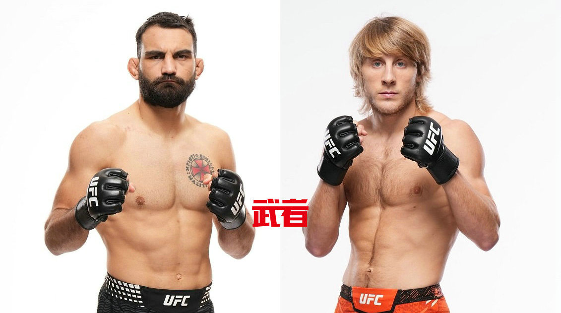 UFC 329：贝诺伊特·圣·丹尼斯vs帕迪·平布雷特
