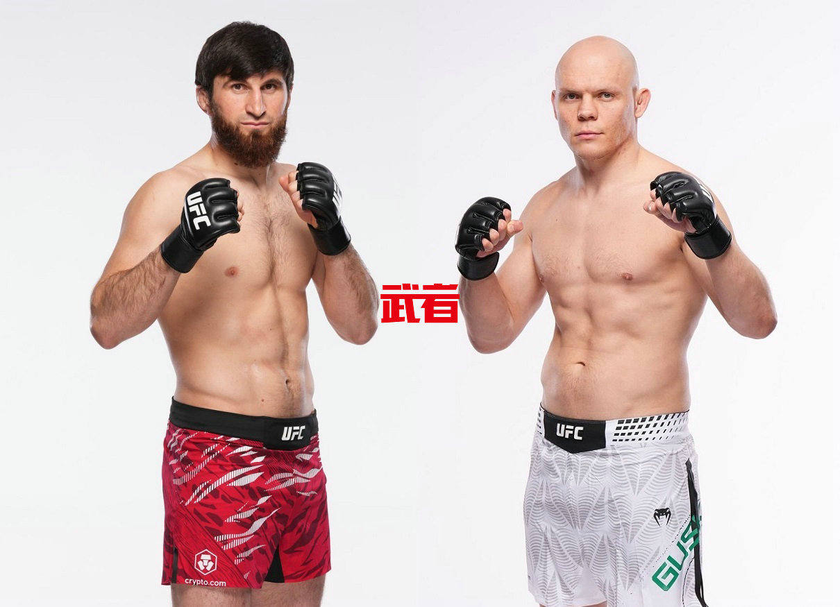 UFC_Ankalaev_Guskov.jpg