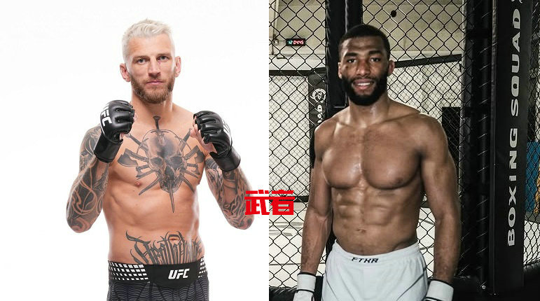 9月6日UFC：丹·胡克vs萨拉丁·帕纳斯
