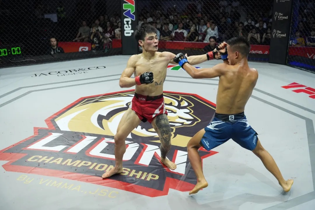 WLF-MMA.jpg