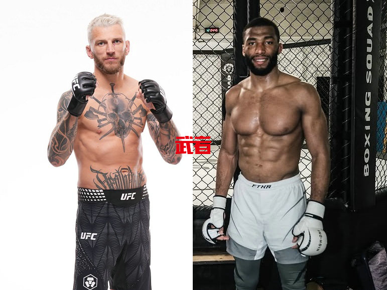 UFC_Hooker_Parnasse.jpg