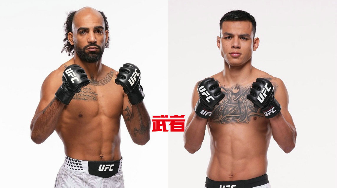 UFC 330：查尔斯·约翰逊vs何塞·奥乔亚