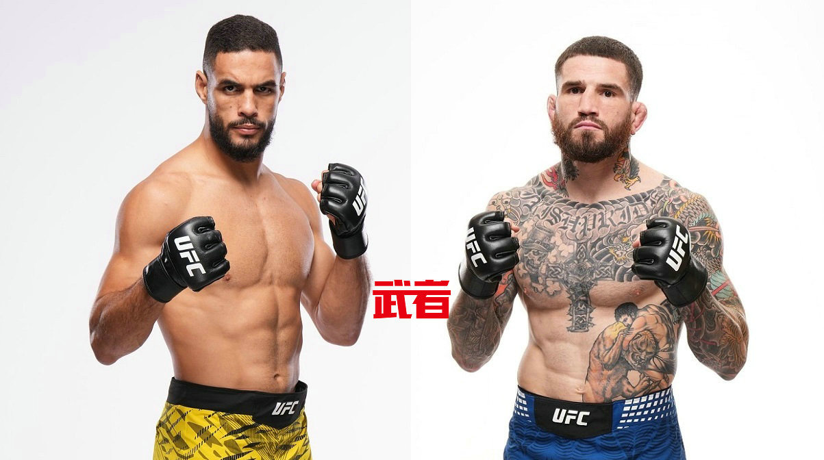 11月8日UFC：加布里埃尔·邦菲vs肖恩·布雷迪