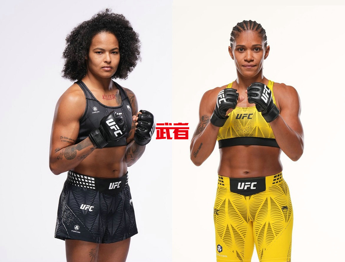 UFC_Silva_Fernandes.jpg